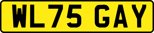 WL75GAY