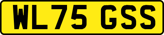 WL75GSS
