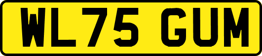 WL75GUM