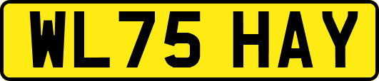 WL75HAY