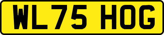 WL75HOG