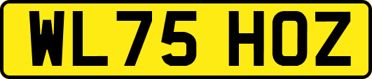 WL75HOZ