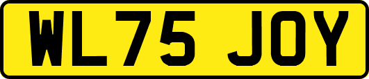 WL75JOY