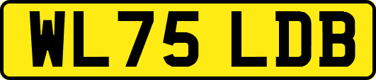 WL75LDB