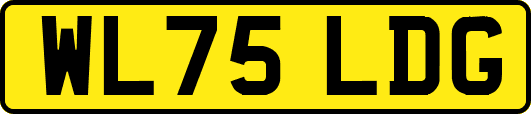 WL75LDG