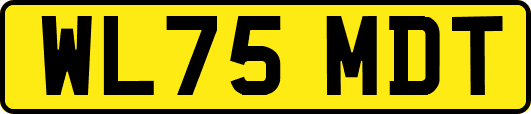 WL75MDT