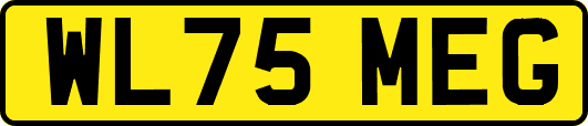 WL75MEG