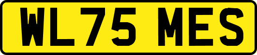 WL75MES