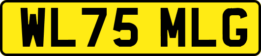 WL75MLG