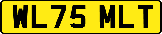 WL75MLT
