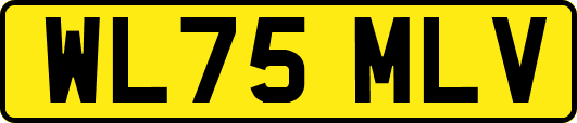 WL75MLV