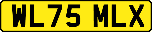 WL75MLX