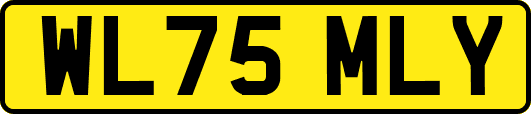 WL75MLY