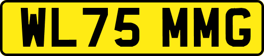 WL75MMG