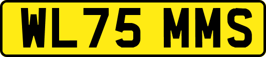 WL75MMS