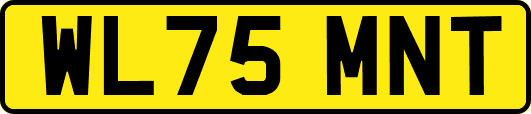 WL75MNT