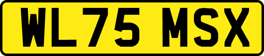 WL75MSX