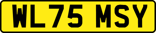 WL75MSY