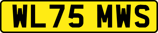 WL75MWS