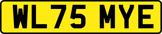 WL75MYE