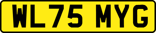 WL75MYG