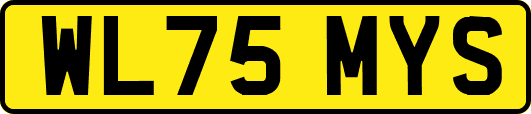 WL75MYS