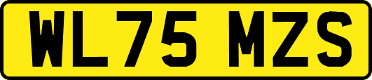 WL75MZS