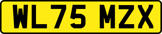 WL75MZX