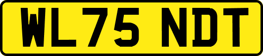 WL75NDT