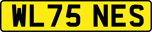 WL75NES