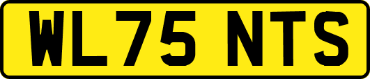 WL75NTS