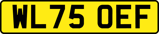 WL75OEF