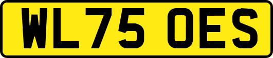 WL75OES