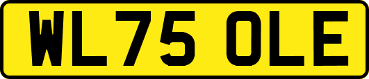 WL75OLE