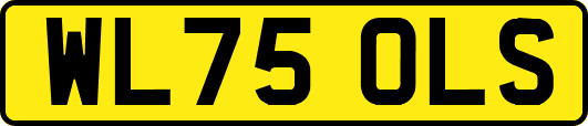 WL75OLS