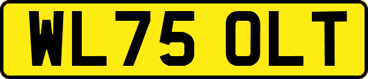 WL75OLT