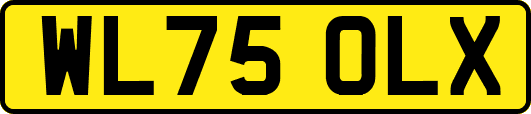 WL75OLX