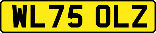 WL75OLZ