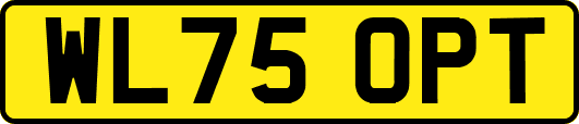 WL75OPT