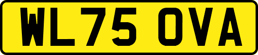 WL75OVA