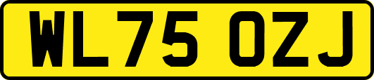 WL75OZJ