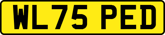 WL75PED