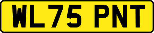 WL75PNT