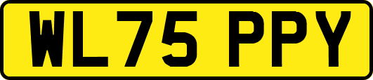 WL75PPY