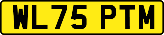 WL75PTM