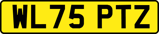 WL75PTZ