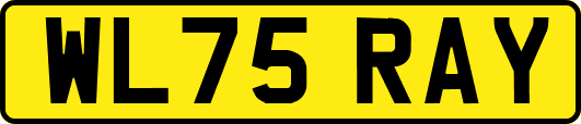 WL75RAY