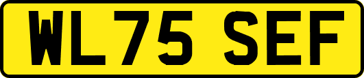 WL75SEF