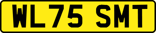 WL75SMT