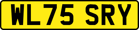 WL75SRY
